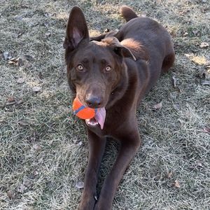 Meet your Posher, Toni